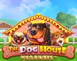 The Dog House Megaways